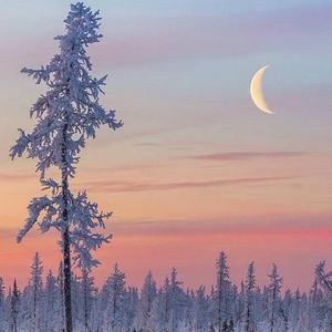 CK中国三级片免费带奶水
