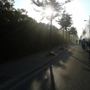 CK中国三级片免费带奶水
